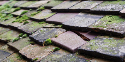 Littleport roof repair costs